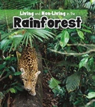 Living and Non-living in the Rainforest