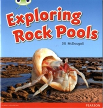 Bug Club Non-fiction Green C Exploring Rock Pools