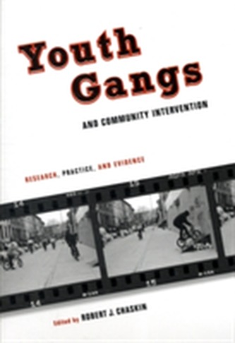 Youth Gangs and Community Intervention