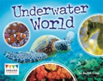 Underwater World Pack of 6
