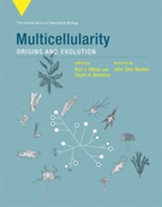 Multicellularity Multicellularity