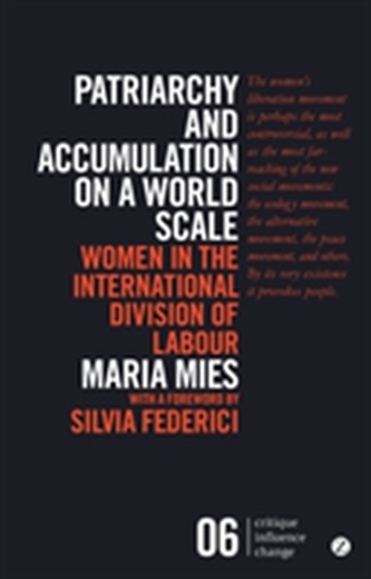 Patriarchy and Accumulation on a World Scale