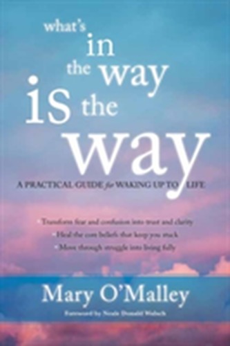 What's in the Way is the Way