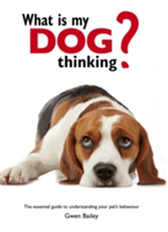 What is my Dog Thinking? What is my Dog Thinking?