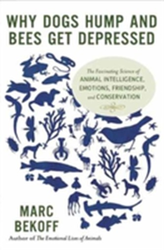 Why Dogs Hump and Bees Get Depressed