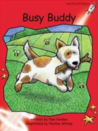 Busy Buddy