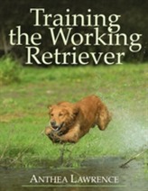 Training the Working Retriever