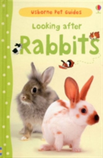 Looking After Rabbits Looking After Rabbits
