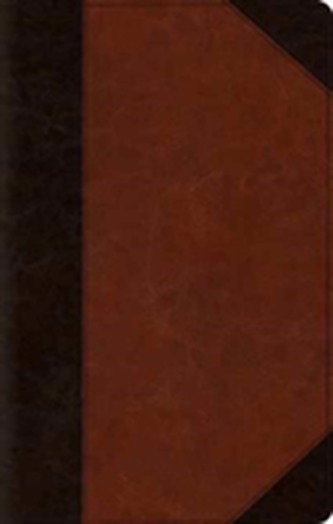 ESV Large Print Thinline Bible