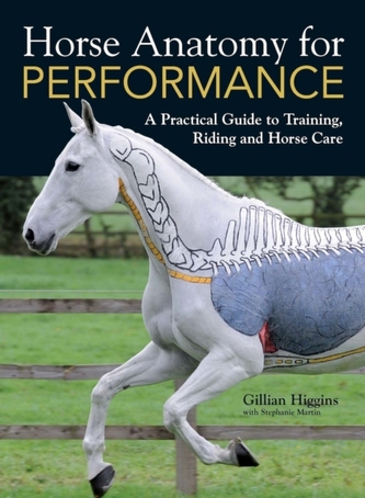 Horse Anatomy for Performance Horse Anatomy for Performance