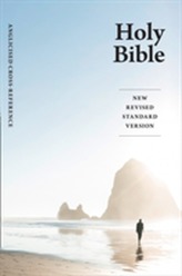 Holy Bible: New Revised Standard Version (NRSV) Anglicized Cross-Reference edition