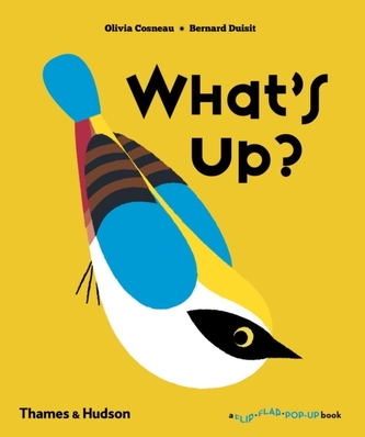 What's Up? What's Up?