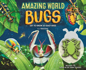 Amazing World: Bugs