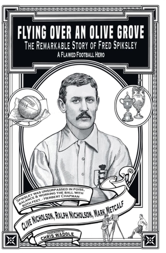 Flying Over an Olive Grove