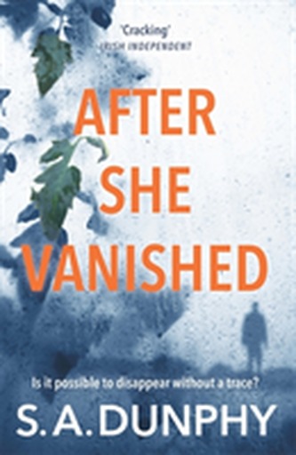 After She Vanished After She Vanished