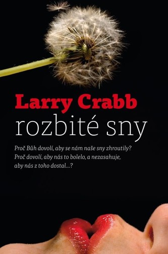 Rozbité sny (Larry Crabb, 2013)