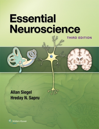 Essential Neuroscience Essential Neuroscience