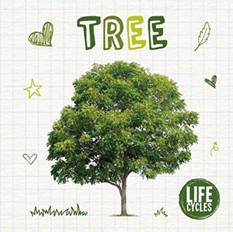Life Cycle of a Tree