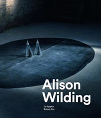 Alison Wilding Alison Wilding