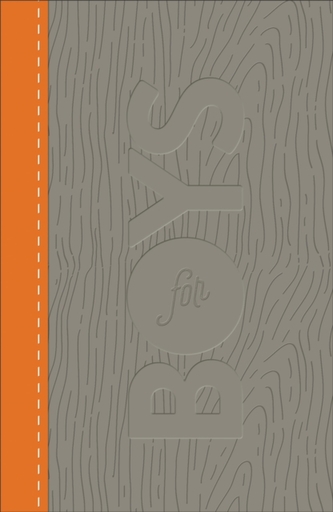 CSB Study Bible for Boys Charcoal/Orange, Wood Design Leathertouch
