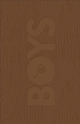 CSB Study Bible for Boys Brown, Wood Design Leathertouch