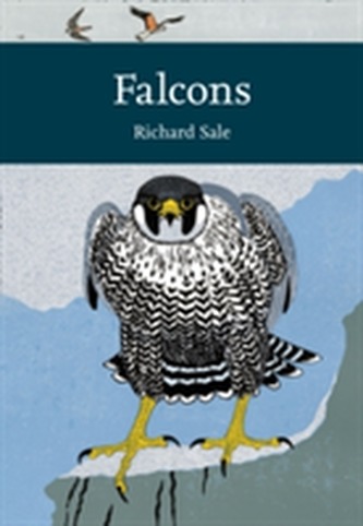 Falcons