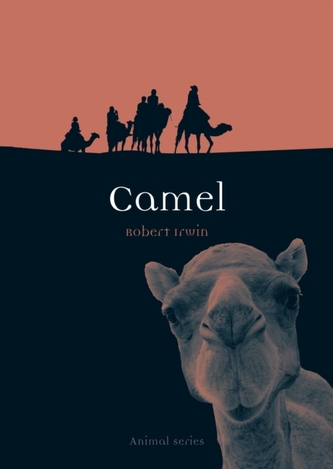 Camel Camel