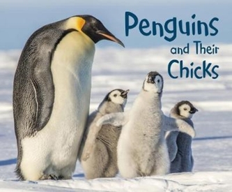 Penguins and Their Chicks Penguins and Their Chicks