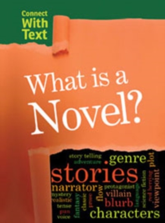 What is a Novel?