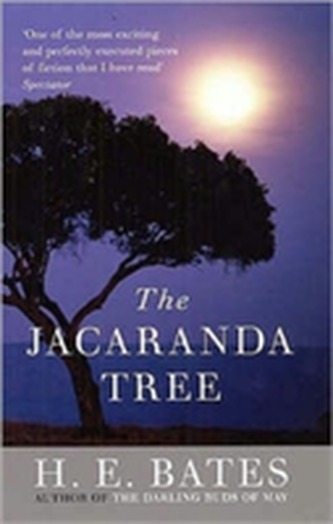 The Jacaranda Tree
