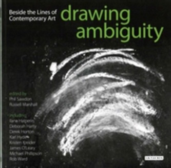 Drawing Ambiguity