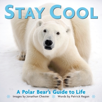 Stay Cool Stay Cool
