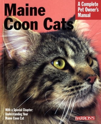 Maine Coon Cats