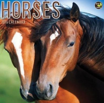 HORSES CANLENDAR 2016