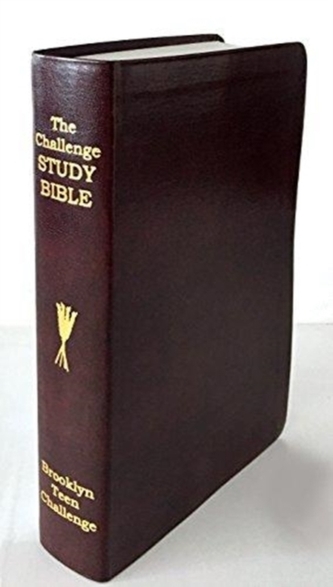 CEV CHALLENGE STUDY BIBLE