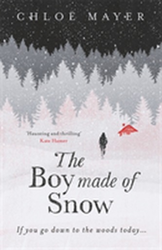 The Boy Made of Snow