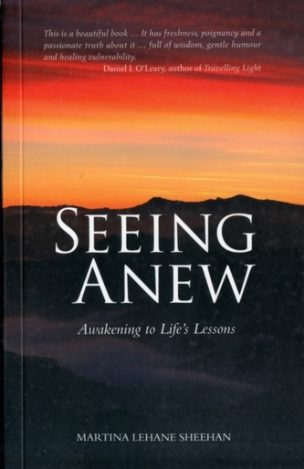 Seeing Anew