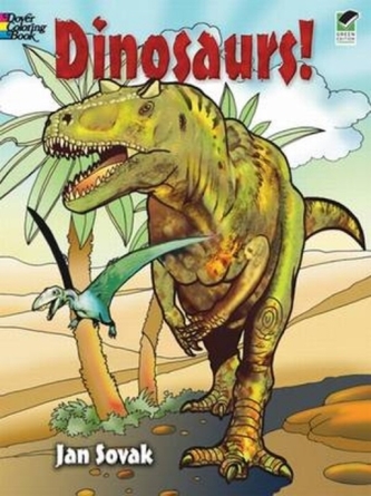 Dinosaurs Coloring Book