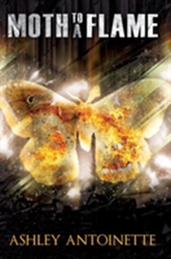 Moth To A Flame