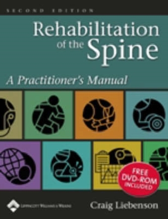 Rehabilitation of the Spine Rehabilitation of the Spine