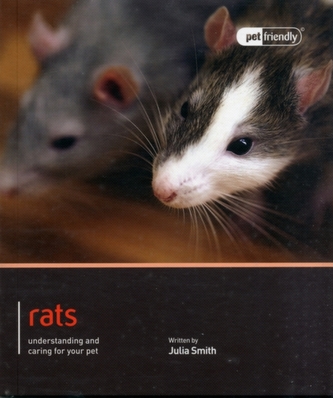 Rat - Pet Friendly