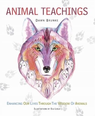 Animal Teachings