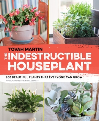 The Indestructible Houseplant The Indestructible Houseplant