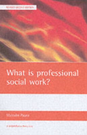 What is professional social work?