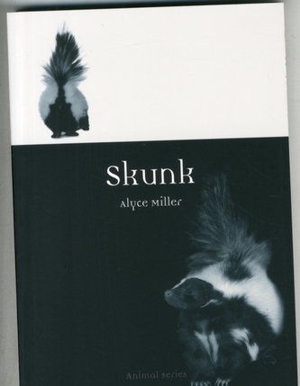 Skunk Skunk