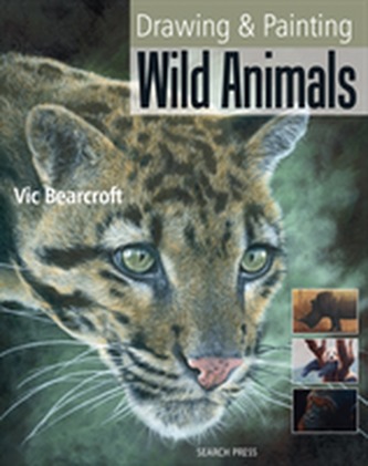 Drawing and Painting Wild Animals Drawing and Painting Wild Animals