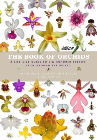 The Book of Orchids