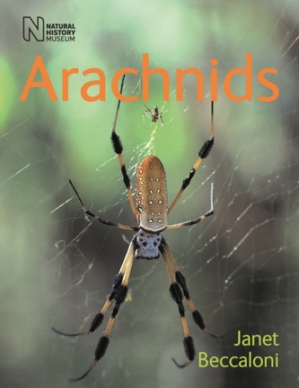 Arachnids Arachnids