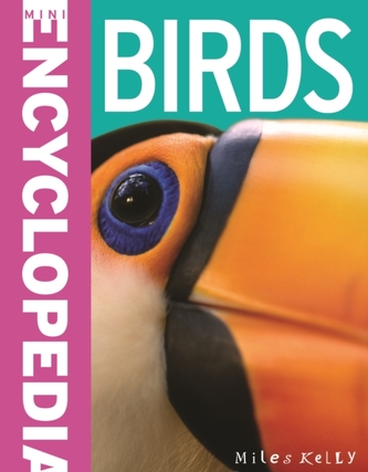 100 Facts - Birds