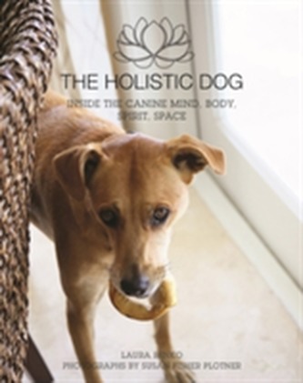 The Holistic Dog